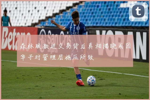 森林狼激进交易背后真相揭晓或因华子对管理层施压所致